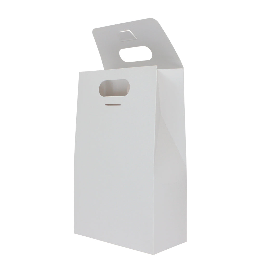 Caja Bolsa Regalo Grande 15.5x24.5x8 10 Piezas